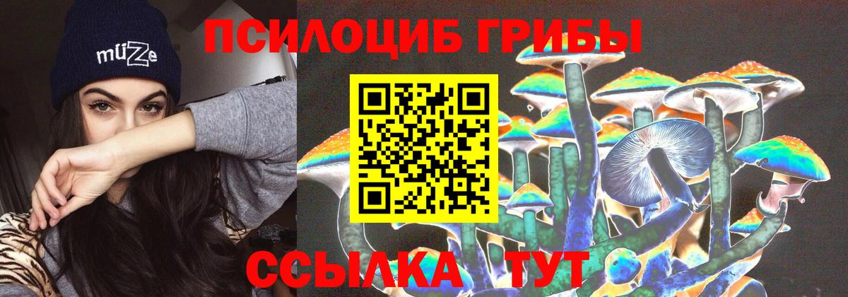 Каменка  Псилоцибиновые грибы ЛСД  Галлюциногенные грибы Cubensis  Вход с VPN 